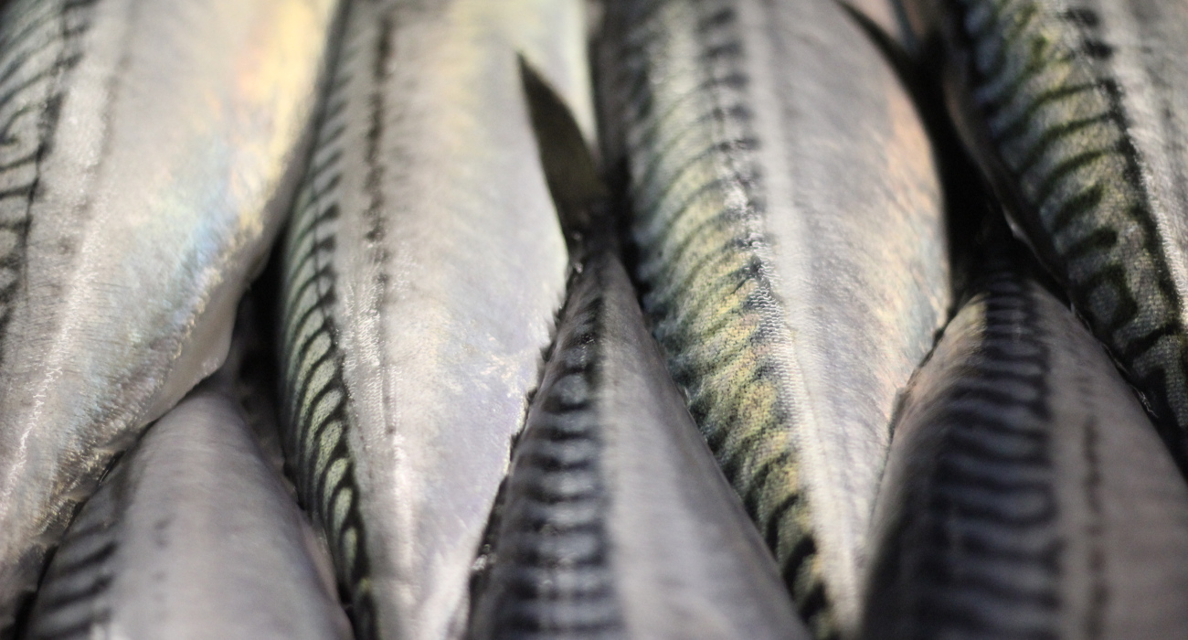 IMG 5897 Kreditert Lars Lovund