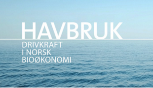 havbruk_2016