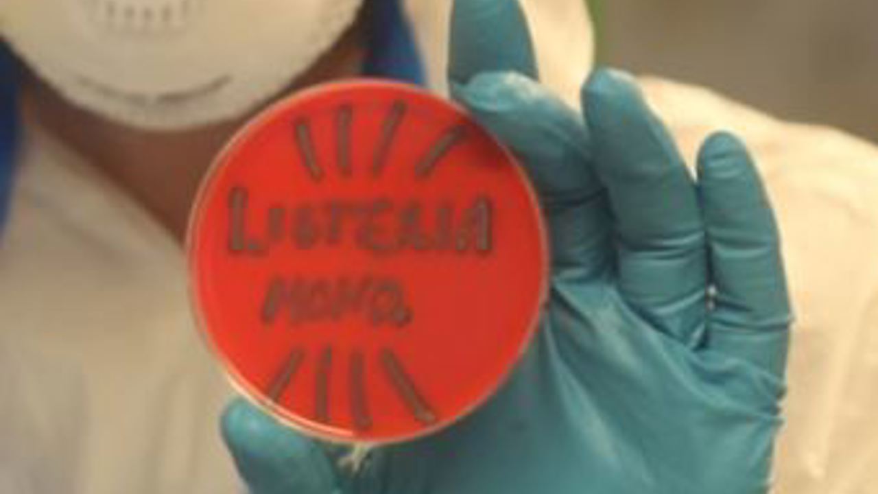 Listeria