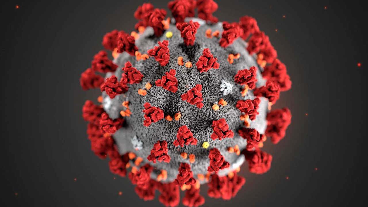 Corona Virus