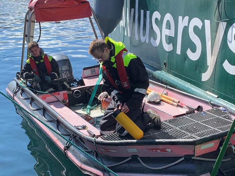 Det er utviklet en «sensorfisk» som kan benyttes for å teste og redusere risiko for dårlig fiskevelferd ved utvikling og bruk av avlusings- og annen teknologi der fisk forflyttes