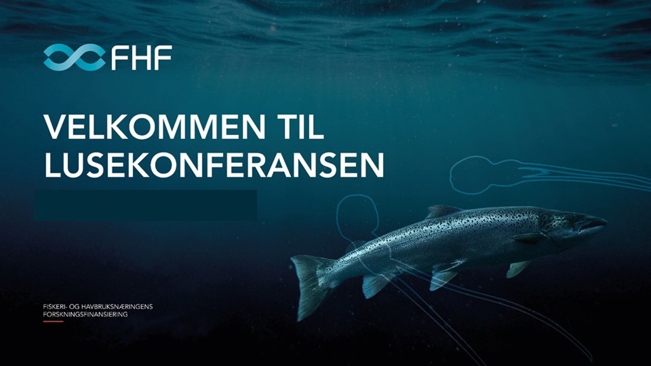 Lusekonferansen Promo