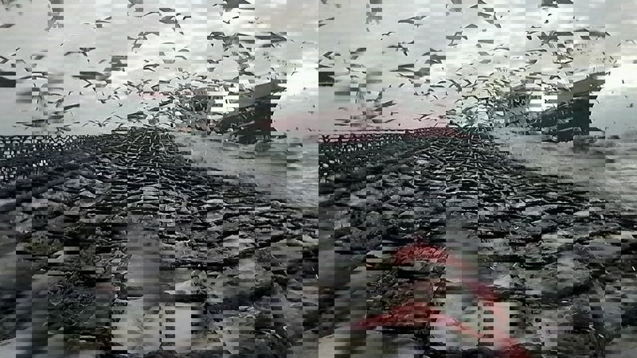 76Bc7362b14c5d207d20087dbd6b8bd6