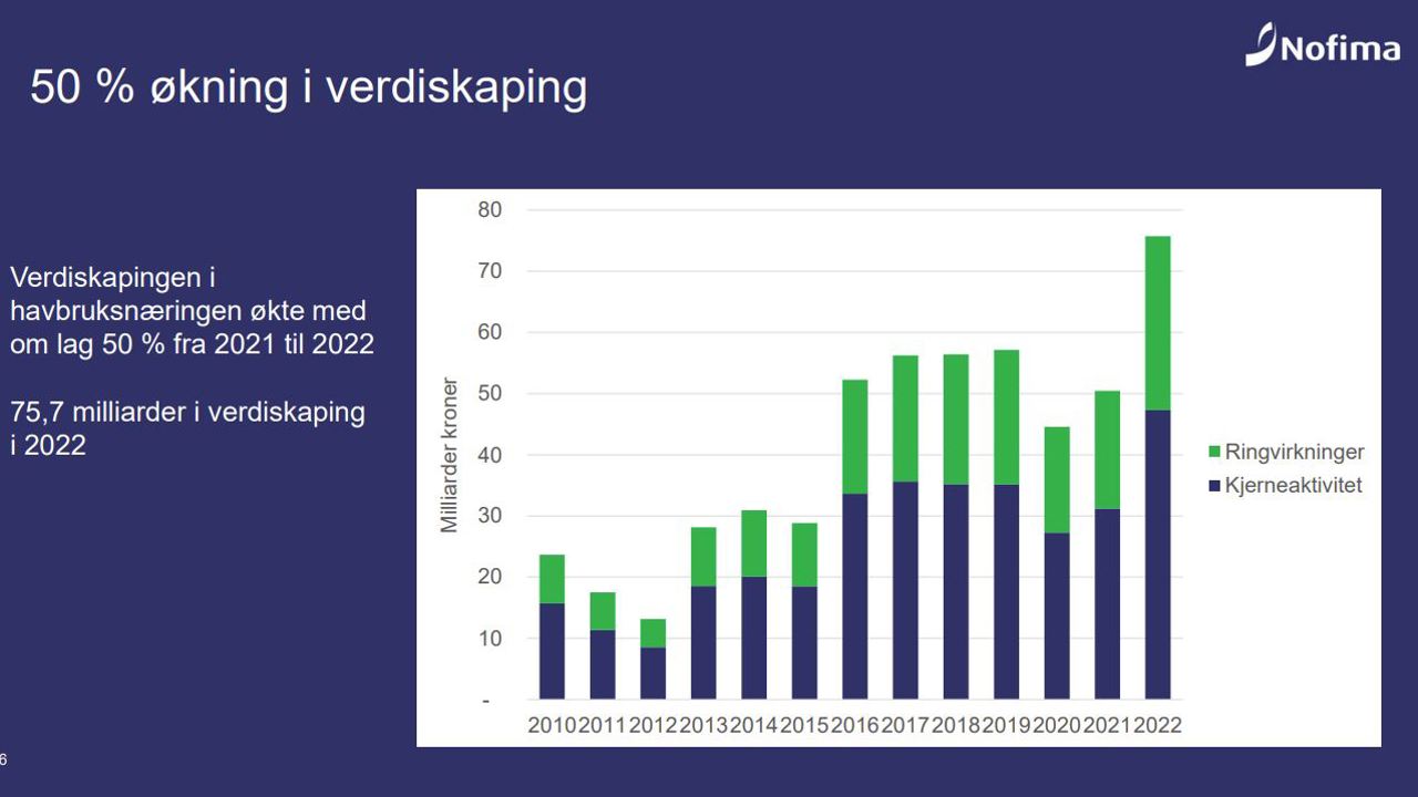 Ringvirkn Havbruk 2022