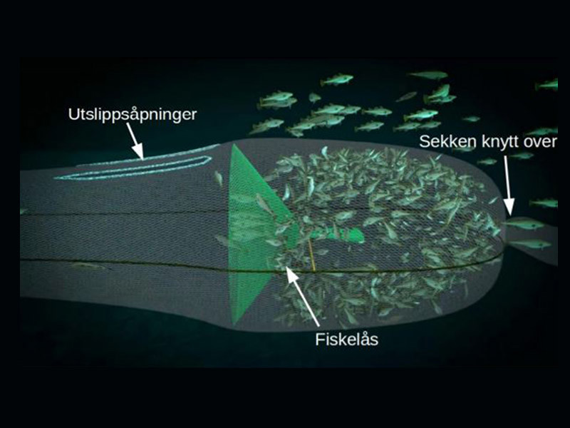 Det er utviklet en prototype nedskalert sekkeutløser som viser gode resultater i felt