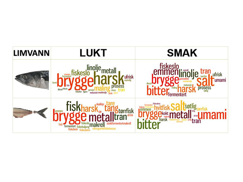 Det er blitt utviklet en prosess for fremstilling av smaksnøytrale proteiner fra limvann av makrell-avskjær