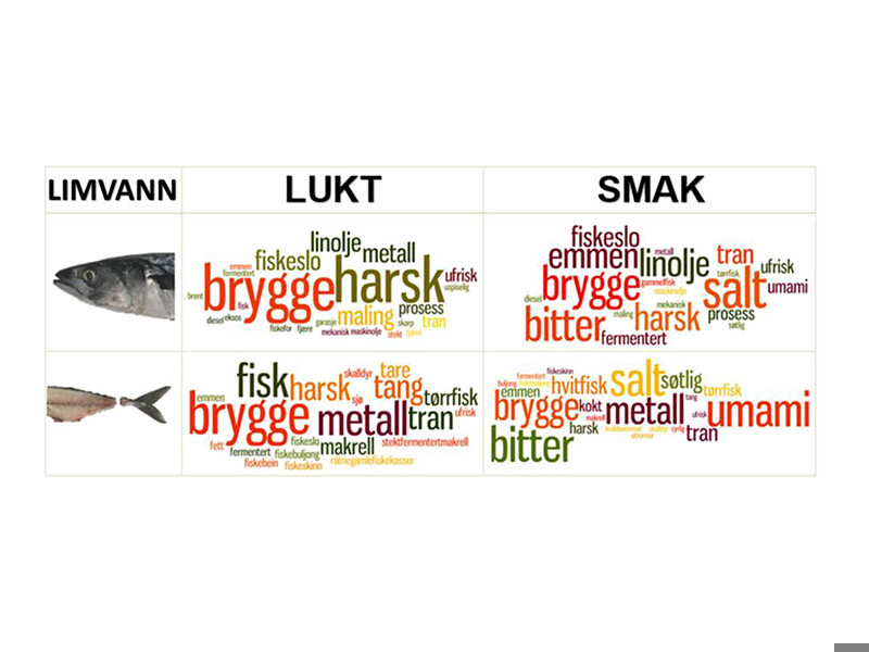 Det er blitt utviklet en prosess for fremstilling av smaksnøytrale proteiner fra limvann av makrell-avskjær