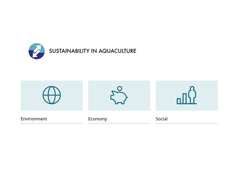 Bærekraftportalen for havbruk er blitt videreutviklet og finnes nå på engelsk