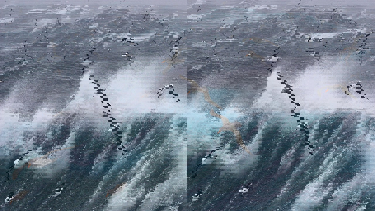 Fer Nando Umc5sfwci78 Unsplash