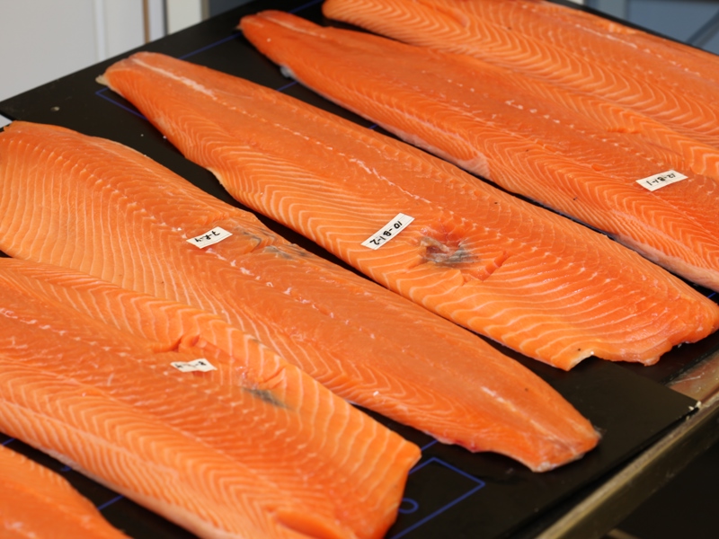 Det er dokumentert at ribbeinsbrudd hos laks kan føre til utvikling av røde og melaniserte endringer i laksefilet, men et prosjekt har vist at endringene ikke kan forklares av ribbeinsbrudd alene.
