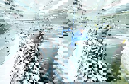 Zfhgf3xwvt8niiutetvj Kred SR