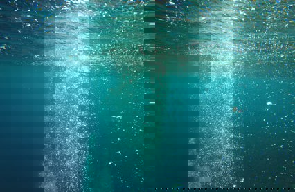 Mostafa Ashraf Mostafa 2N Nldeahtk Unsplash