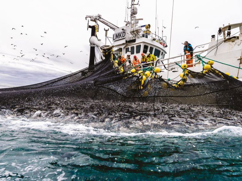 Det er utviklet ny kunnskap om effekter av kapasitetsutvikling i fiskeflåten som vil være viktig bidrag til fremtidige rammebetingelser.