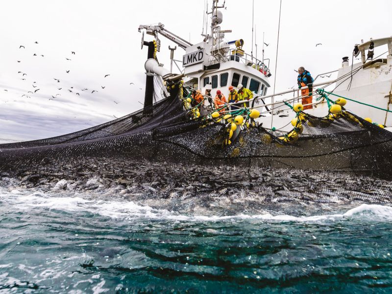 Det er utviklet ny kunnskap om effekter av kapasitetsutvikling i fiskeflåten som vil være viktig bidrag til fremtidige rammebetingelser.