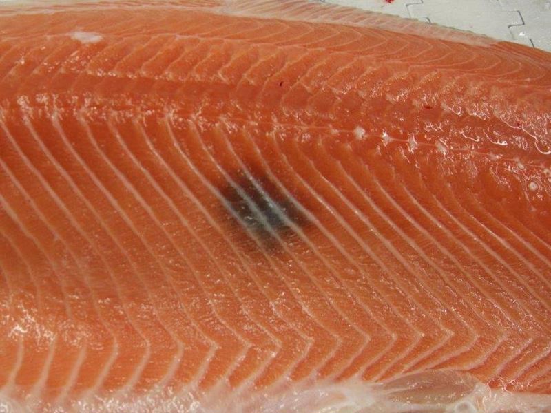 Primære årsaker til dannelse av mørke flekker i bukområdet hos oppdrettslaks skal identifiseres og forebyggende tiltak skal defineres.