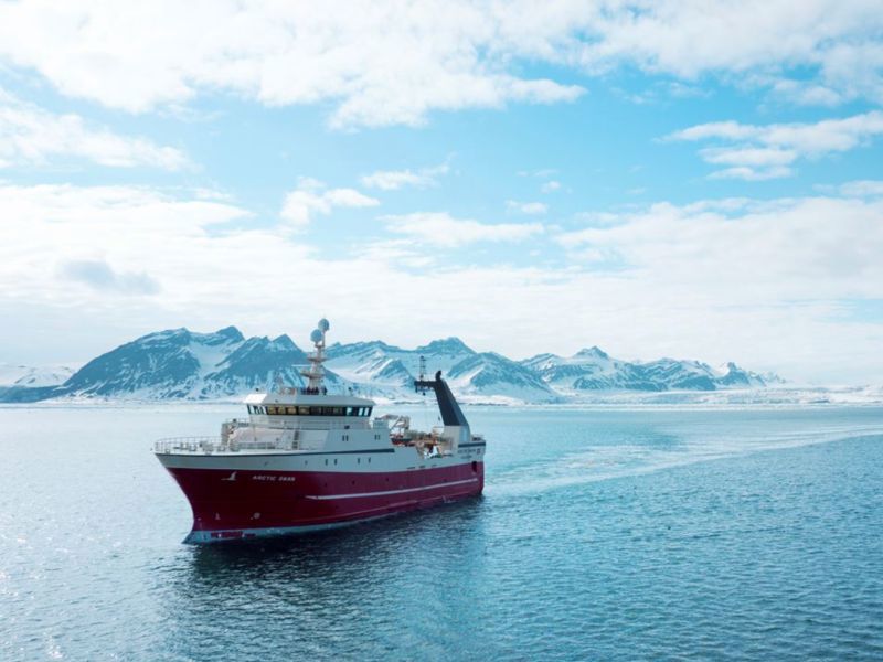 Det skal utvikles teknologi for automatiske veiesystemer ved landing av hvitfisk.