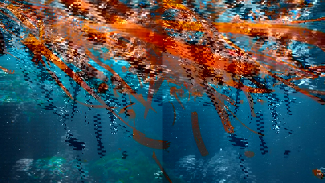 Francesco Ungaro Ys7wgsjdsem Unsplash