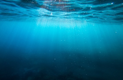 Cristian Palmer Xexawgzyobc Unsplash Original