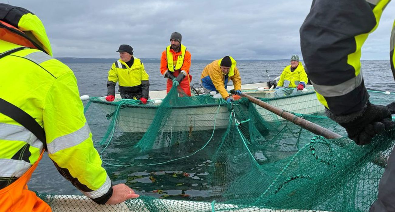 Fc44e9cd 0C1d 4A3e Bc14 30Ab8e74911f W 960