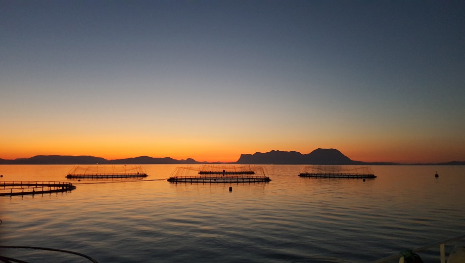 Aquaculture Cages Photo Vegar Johnsen