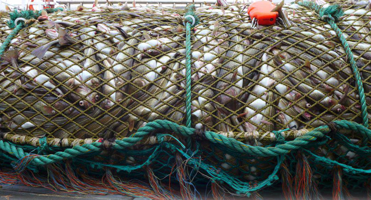 Skjermbilde 2025 03 28 Kl. 10.36.10