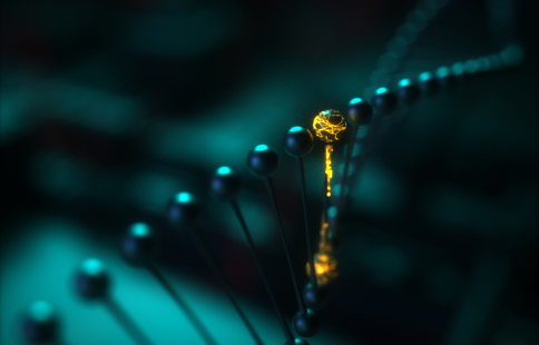 DNA Istock 1197466696 Web