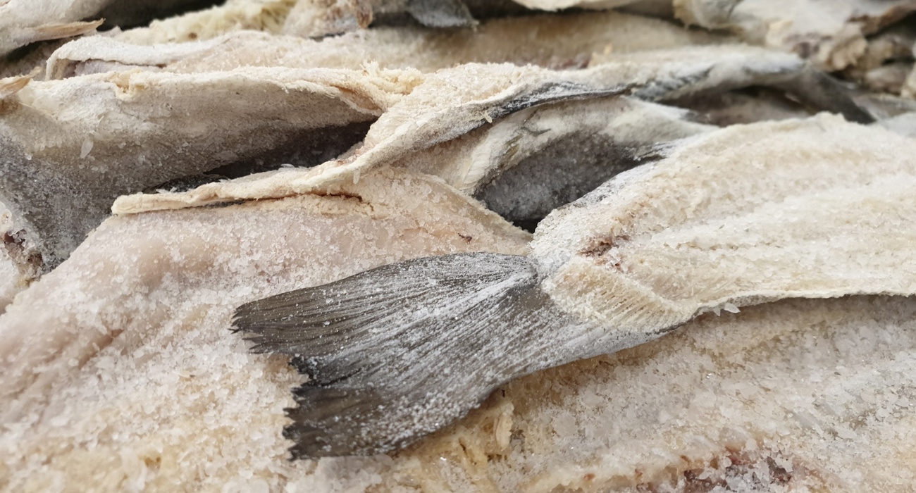 Klippfisk 20190830 093236 Foto Lorena Gallart Jornet FHF
