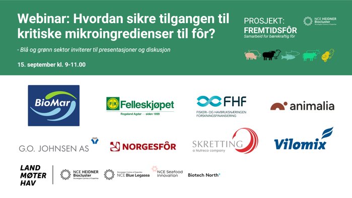 webinar.grafikk - Skrivebeskyttet.png