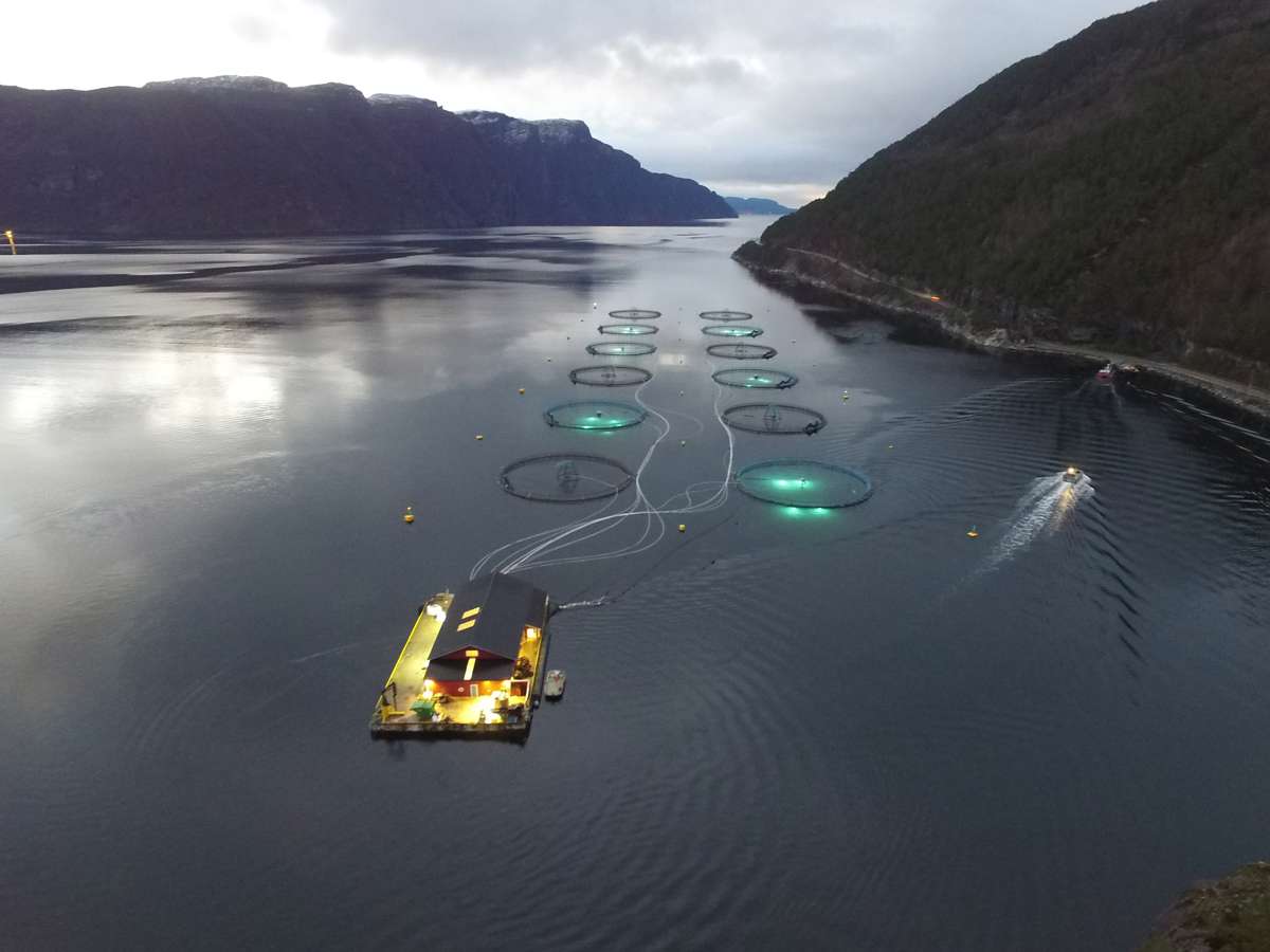 Lakselus Medikamentfri Centre For Aquaculture Competence (CAC) 3