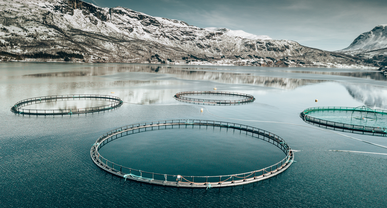 Istock 1411878015