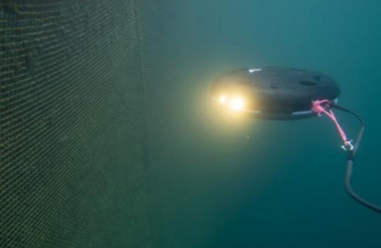 901678 Robothindrerromming Img01