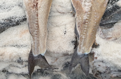 Klippfisk 20211029 100818 Foto FHF