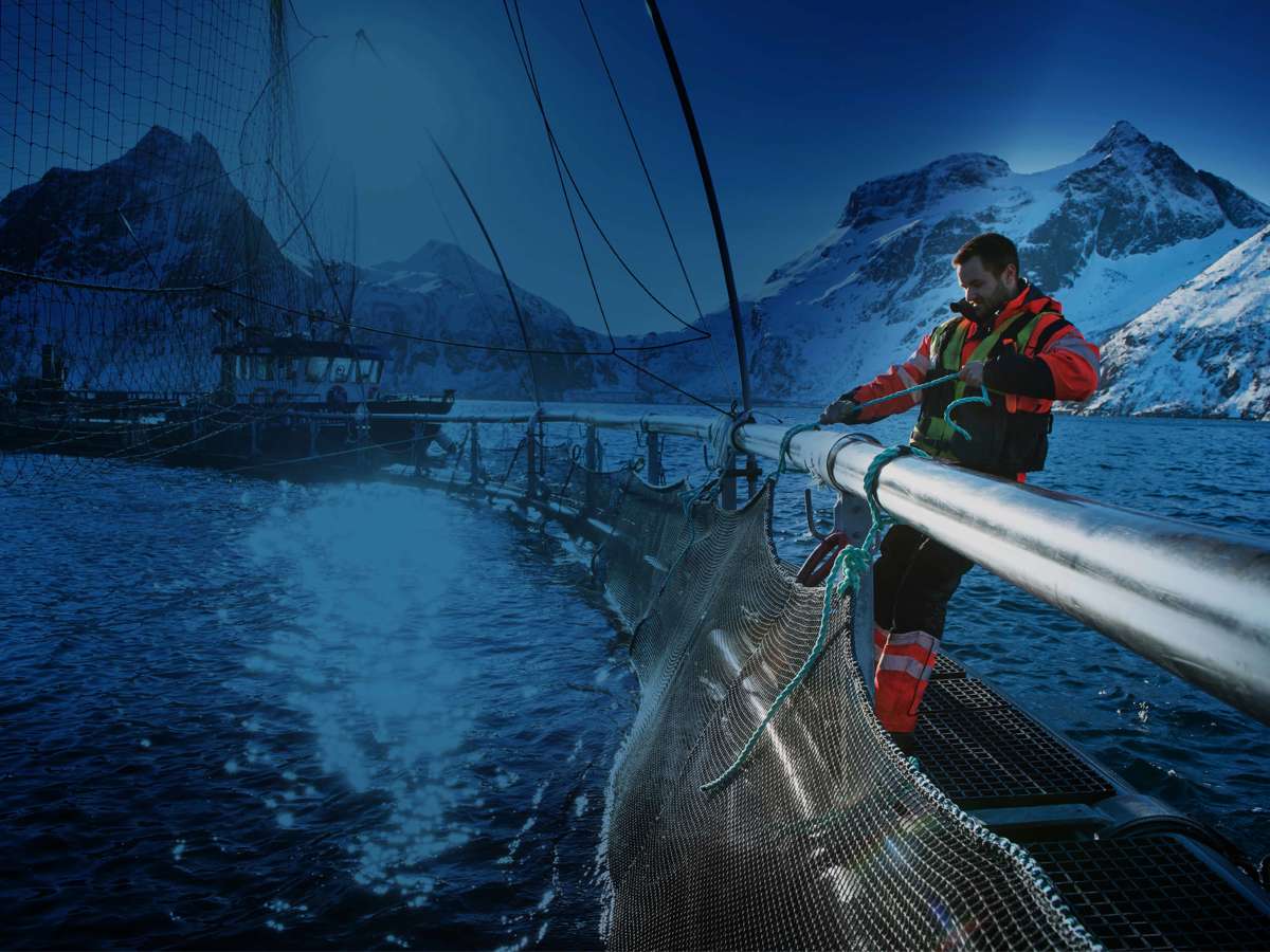 FHF Havbruk2024 DSC 1151 BLUE Lowres