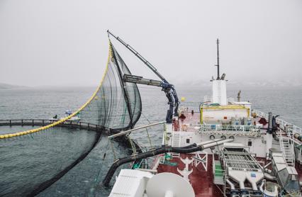 Bronnbat Foto Marius Fiskum Norges Sjomatraad