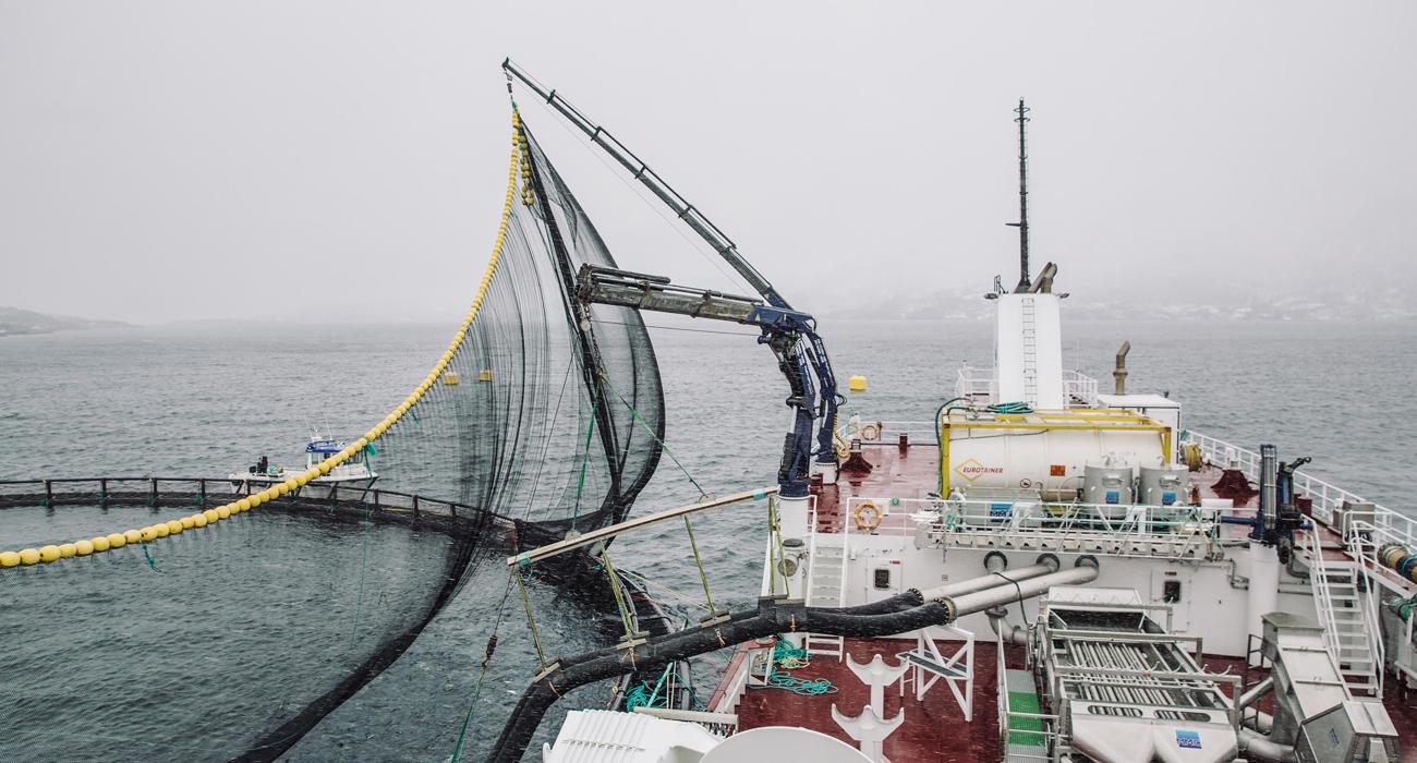 Bronnbat Foto Marius Fiskum Norges Sjomatraad