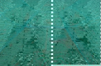 Kongekrabbeteine Med Fangst