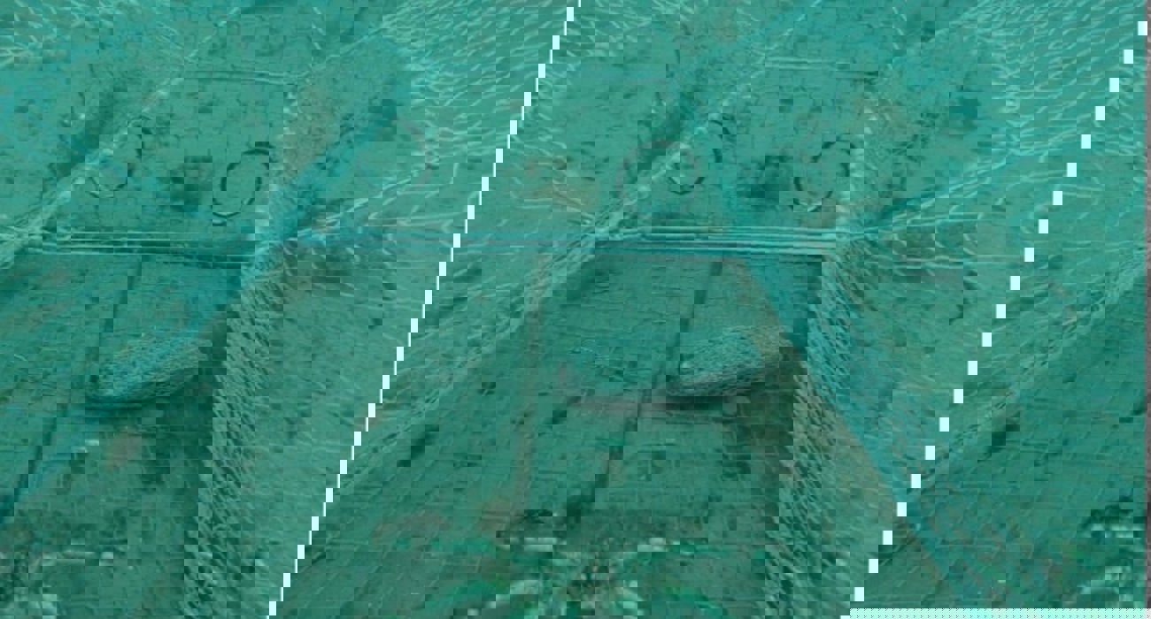 Kongekrabbeteine Med Fangst