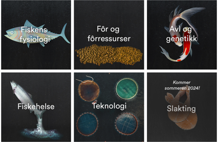 Screenshot 2024 04 16 132043