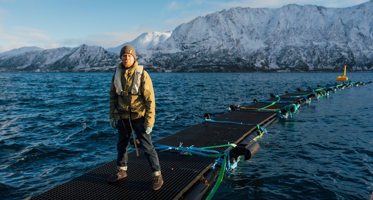 FHF Jellysafe Bendikskogli 2308 Kopi