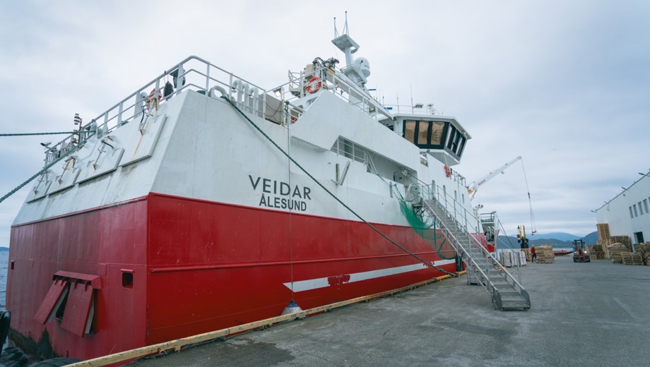 FHF-Veidar-29 – stort.jpeg