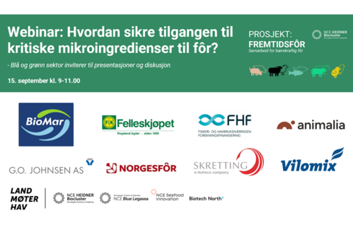 Illustrasjon om webinaret med logo til arrangører