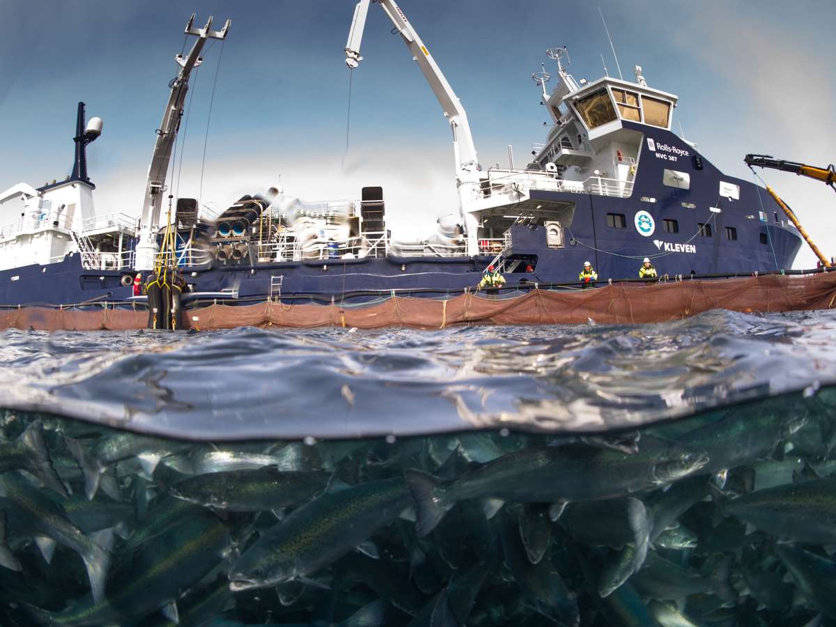 Brønnbåt Submerged Foto Sølvtrans