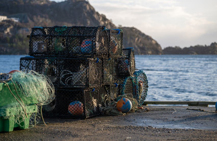 Istock 1978315547 1200Px Hummerteiner