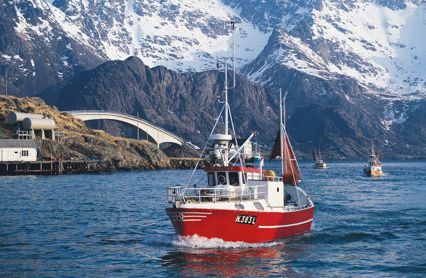 6C4834c5 2529 41Ba B3c3 9Bc65fef9910 W 960