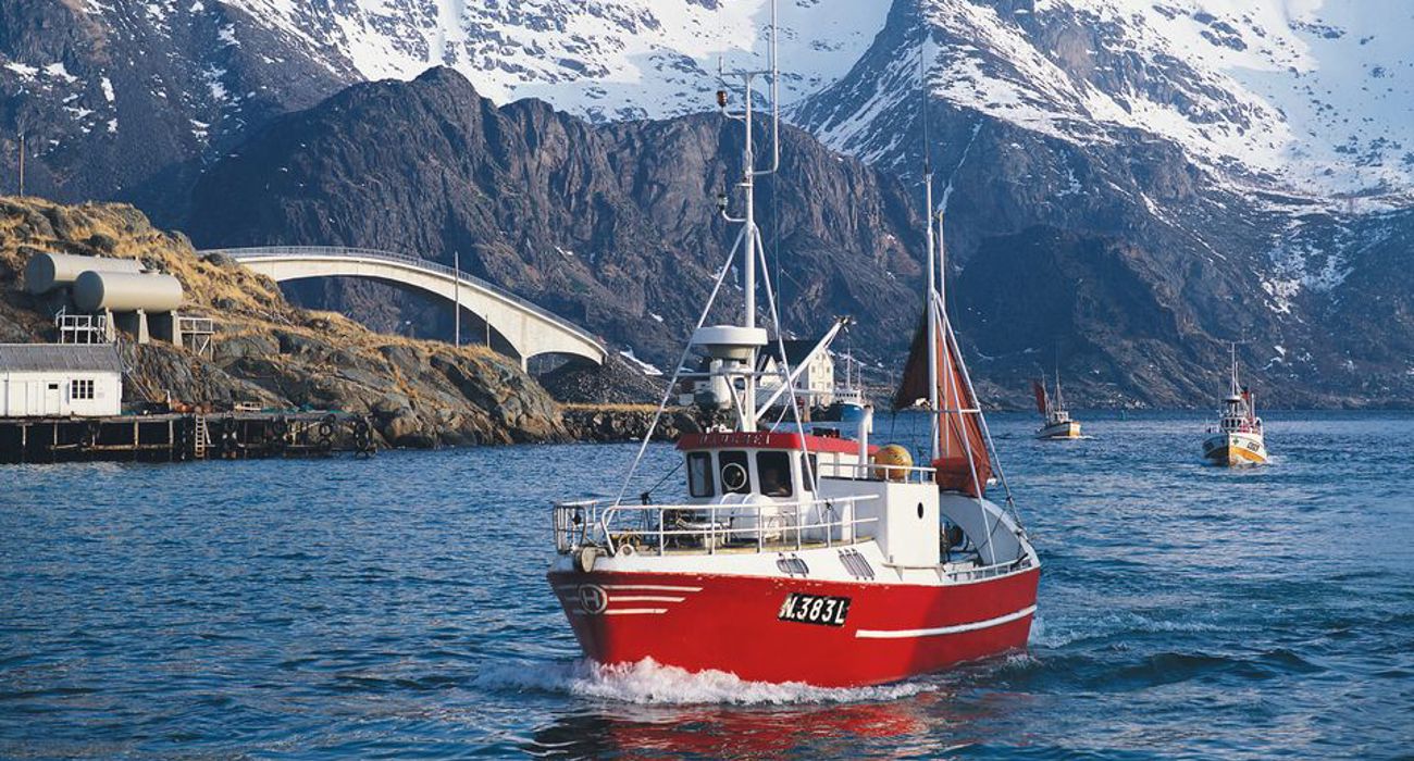 6C4834c5 2529 41Ba B3c3 9Bc65fef9910 W 960