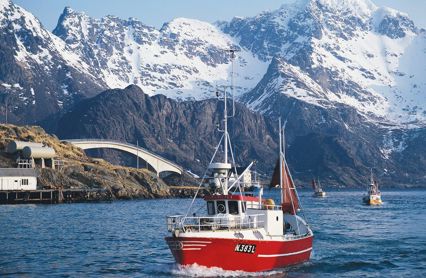 6C4834c5 2529 41Ba B3c3 9Bc65fef9910 W 960