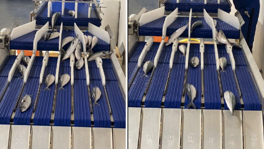 Skjermbilde 2025 12 11 Kl. 10.31.34