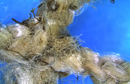 1000Pixler Robustnot Notlin Med Slitasjeskader