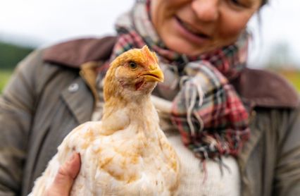 Aedbc129 8468 42D7 907F 577442Eceafc W 960