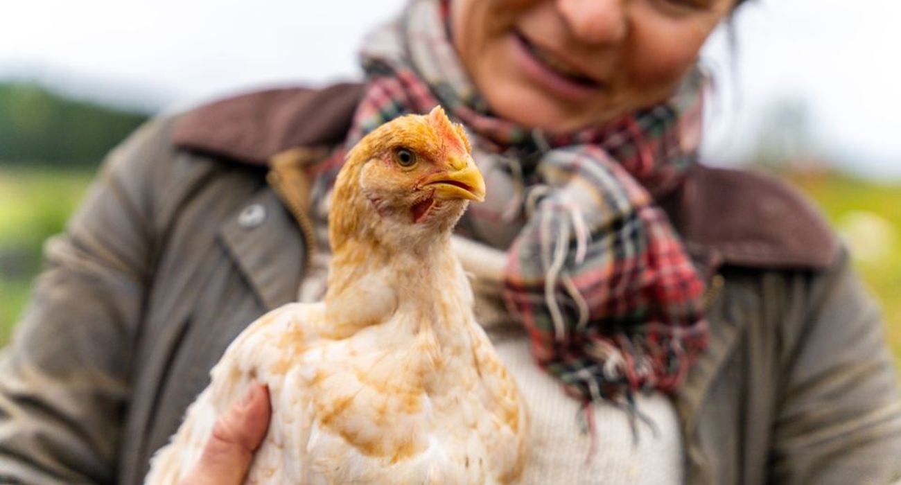 Aedbc129 8468 42D7 907F 577442Eceafc W 960